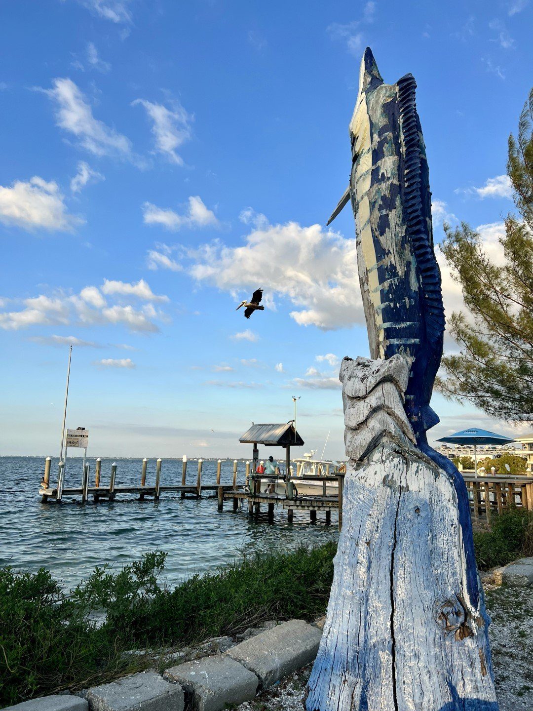A fresh catch hanging at the dock