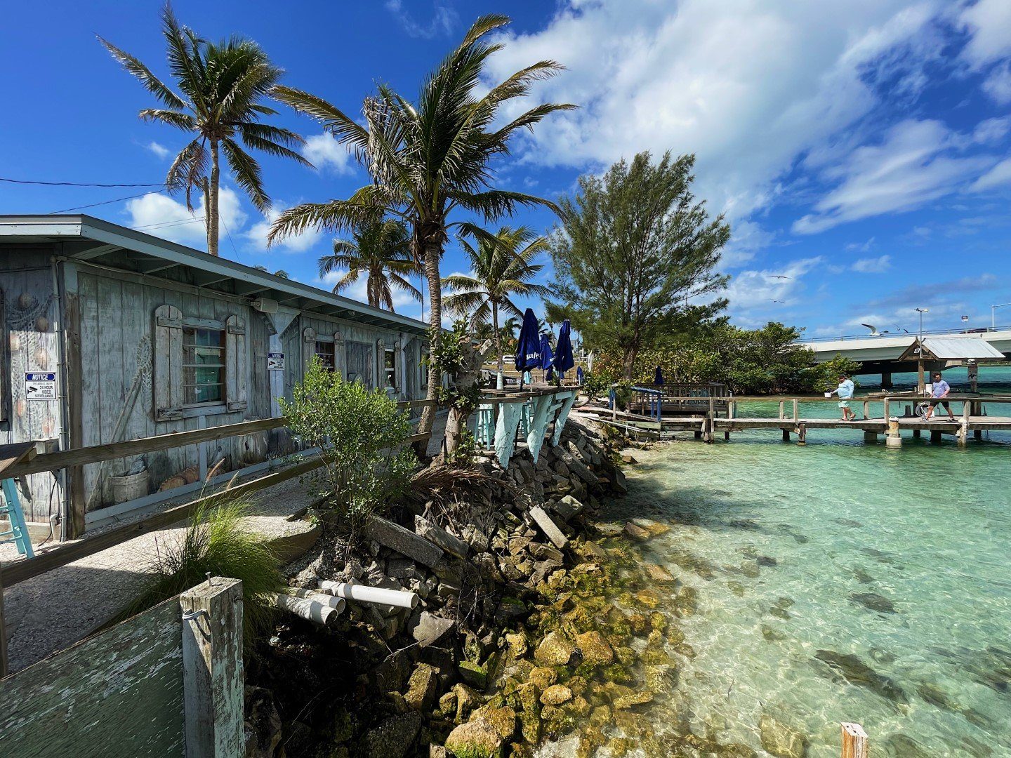 The weathered New Pass Grill & Bait Shop building on the water, framed by palms