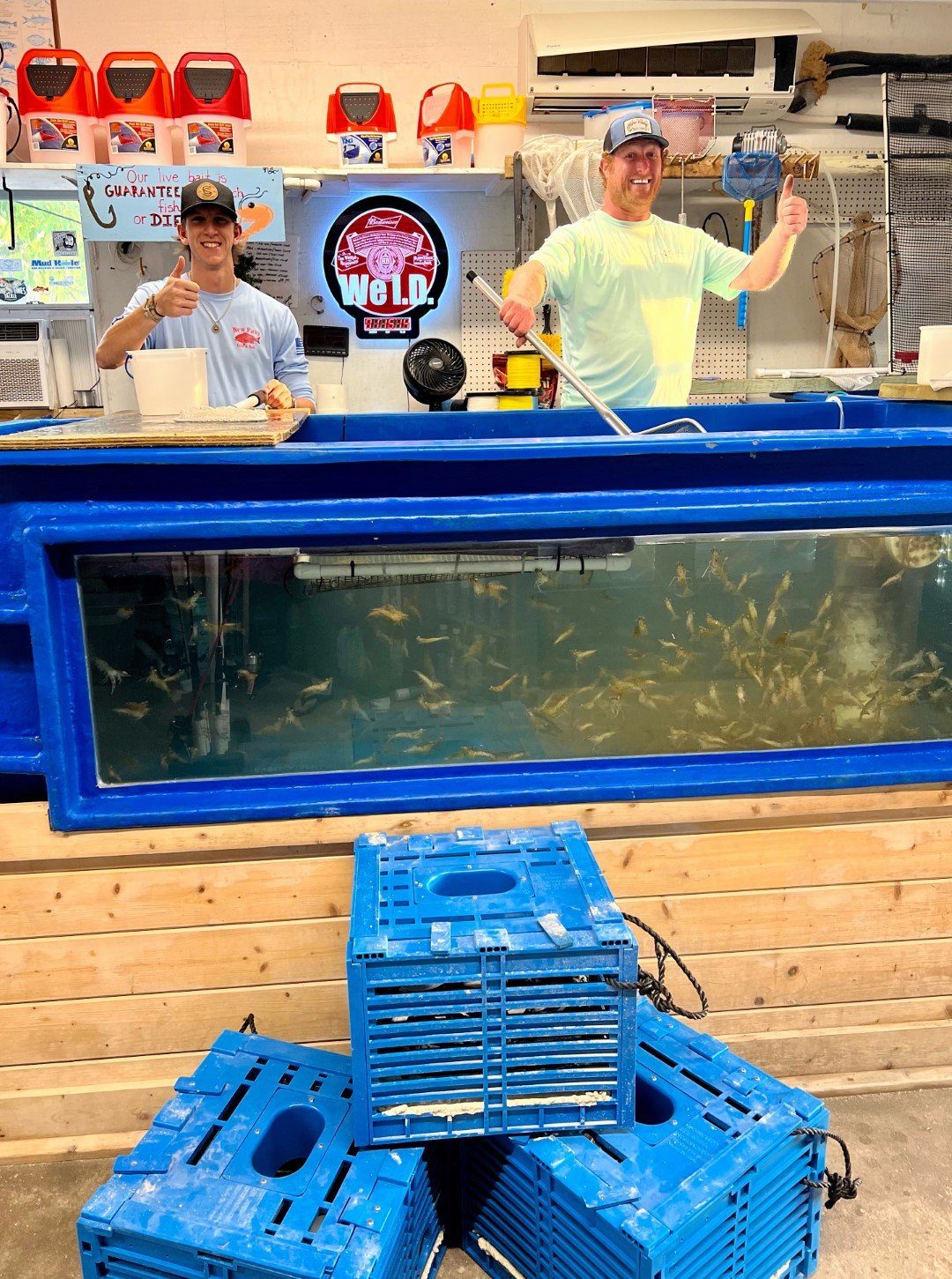 Kids peering into the live bait tank